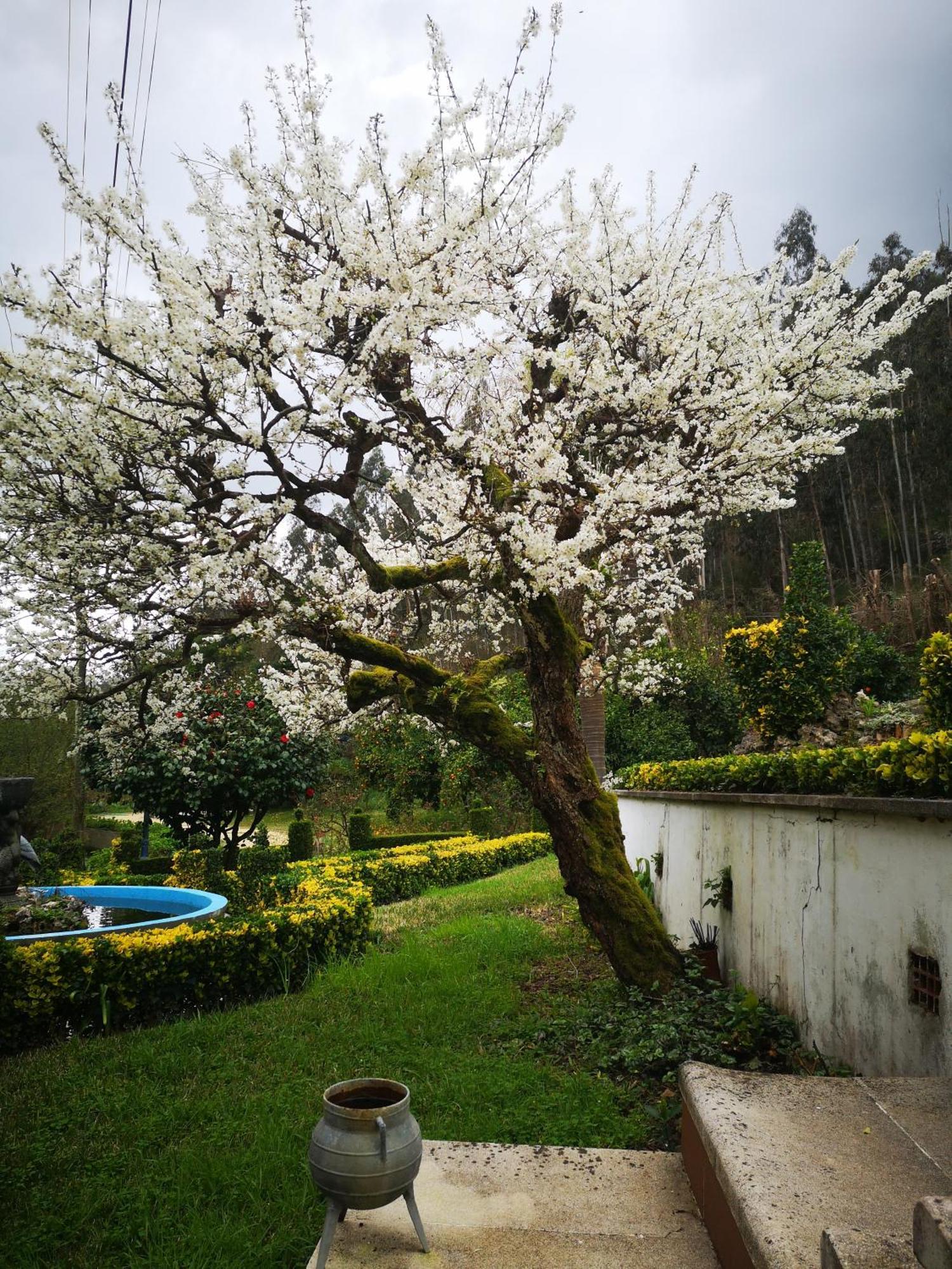 Quinta Das Aguias Aveiro Exterior photo