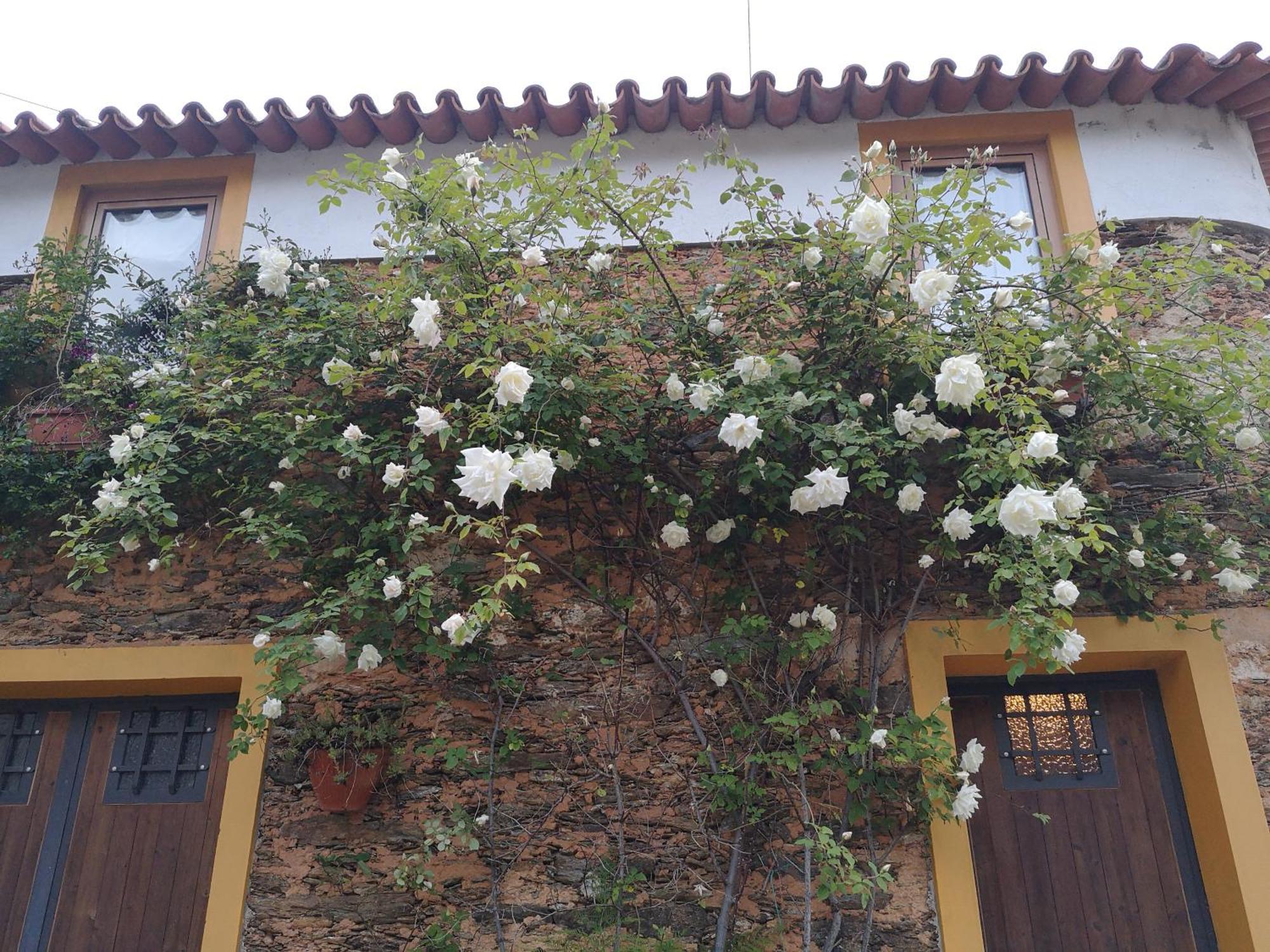 Quinta Das Aguias Aveiro Exterior photo